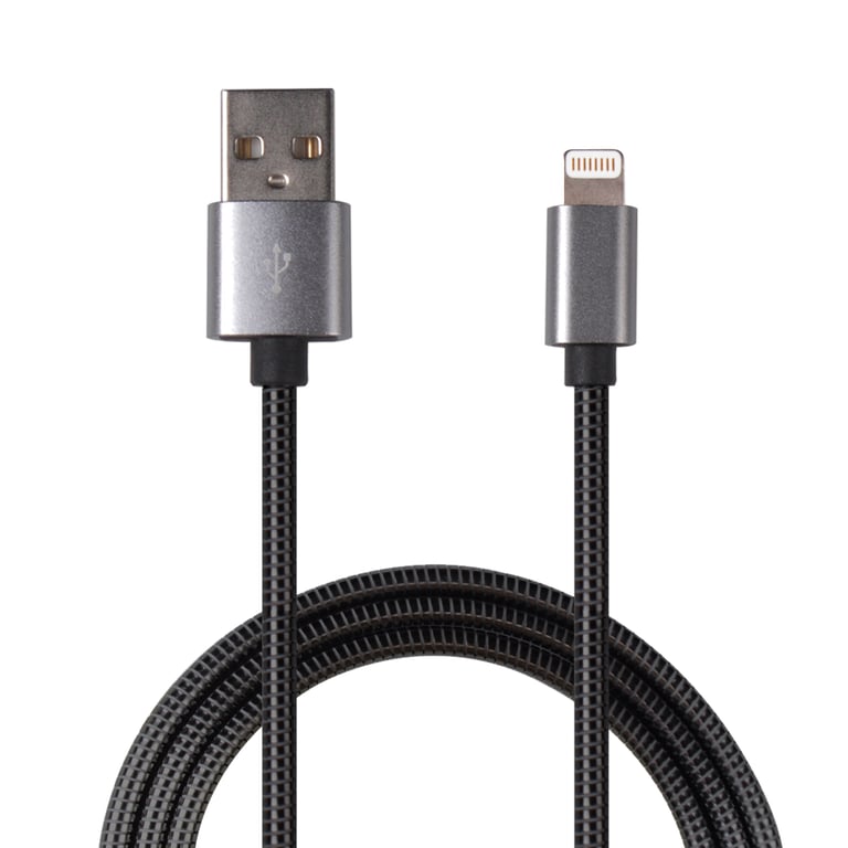 2GO 795810 kabel Lightning 1 m