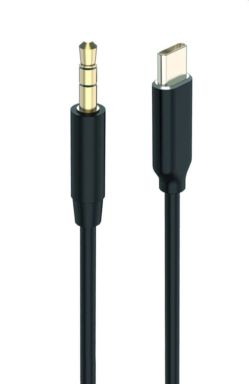 2GO 797219 kabel audio 1 m 3.5mm USB Type-C Czarny