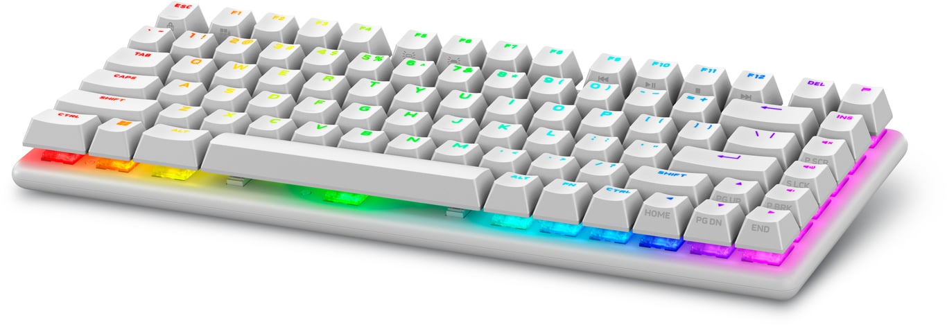 Alienware Pro Wireless Gaming Keyboard klawiatura USB + RF Wireless + Bluetooth Biały PRO-KB-W-WW
