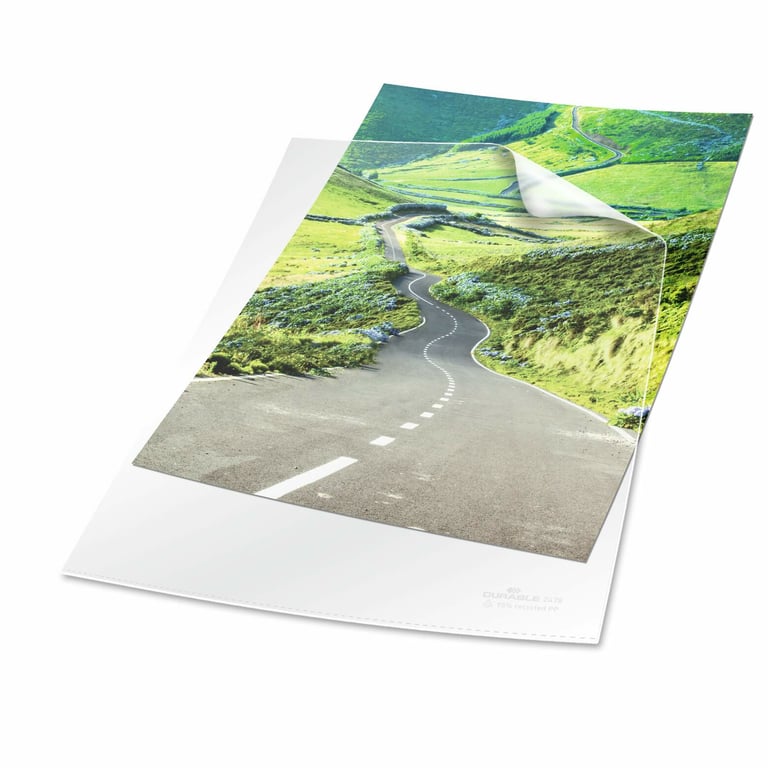 Durable 247819 plastikowa koszulka na dokumenty A4 Polipropylen (PP) 100 szt.