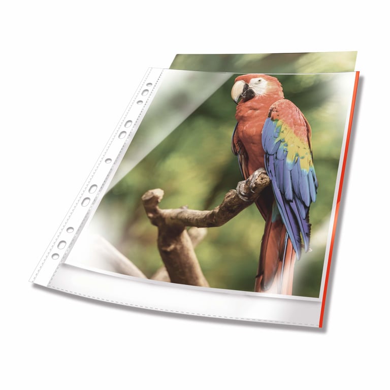 Durable 265503 plastikowa koszulka na dokumenty A4 Polipropylen (PP) 25 szt.