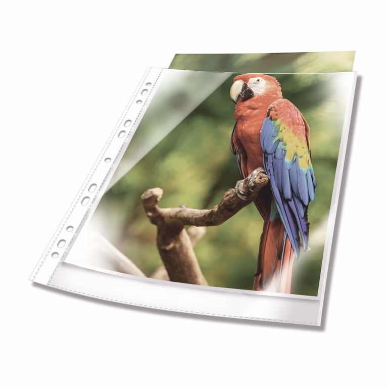 Durable 265402 plastikowa koszulka na dokumenty A4 Polipropylen (PP) 10 szt.