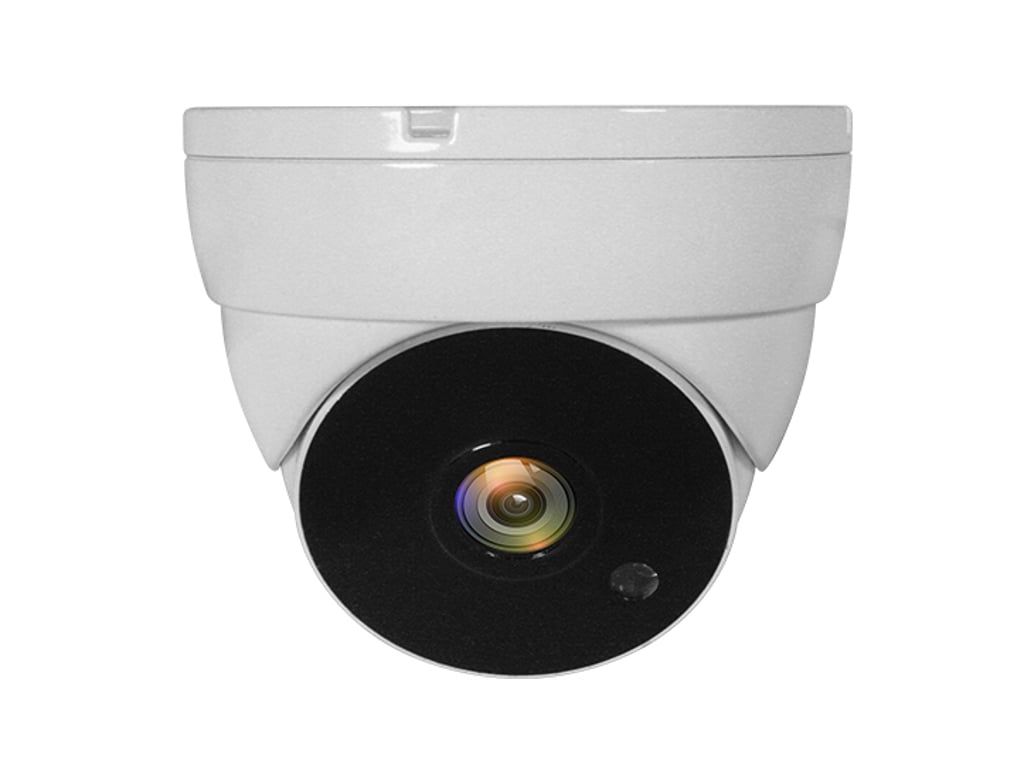 LevelOne ACS-5302 kamera przemysłowa Douszne Kamera bezpieczeństwa CCTV Wewnętrz i na wolnym powietrzu Sufit