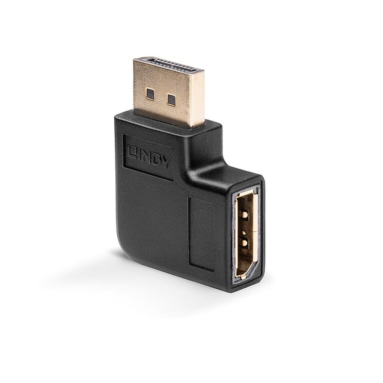 Lindy 41333 zmieniacz płci / kabli DisplayPort Czarny