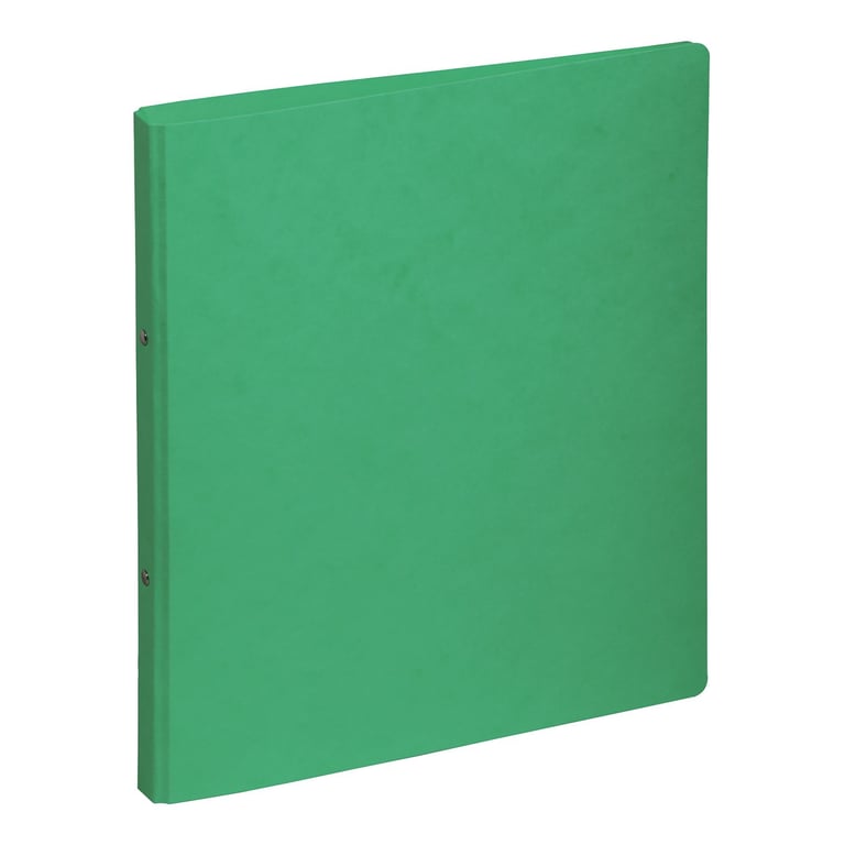 Pagna 44096-03 segregator A4 Zielony