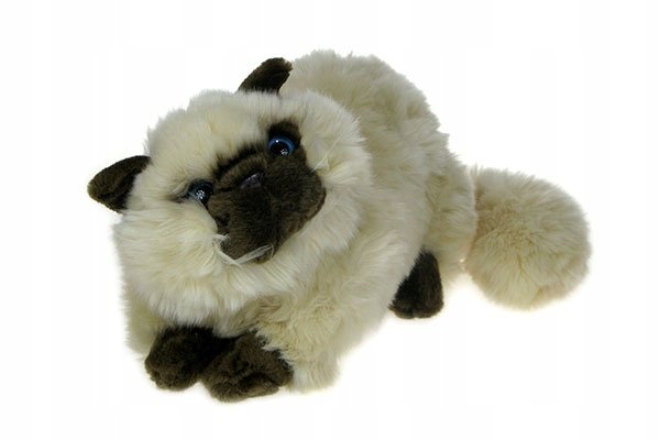 Pluszowe ZOO: maskotka KOT PERSKI leżący beżowy 25cm- 14836 eco-friendly