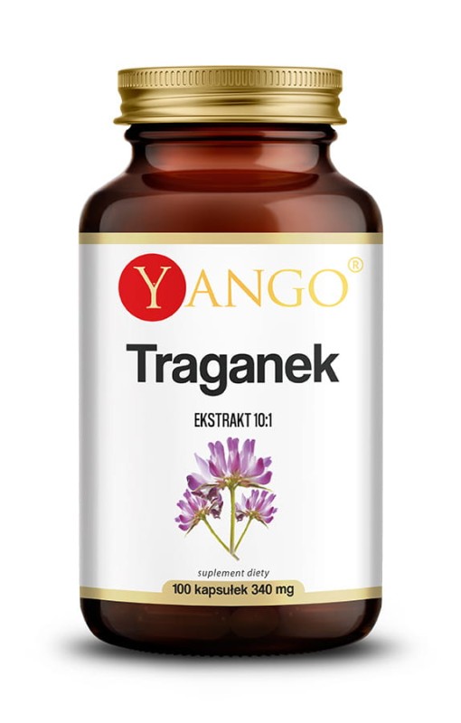 YANGO SP Z O.O. Traganek - ekstrakt 10:1 - 100 kapsułek  OD 150 ZŁ