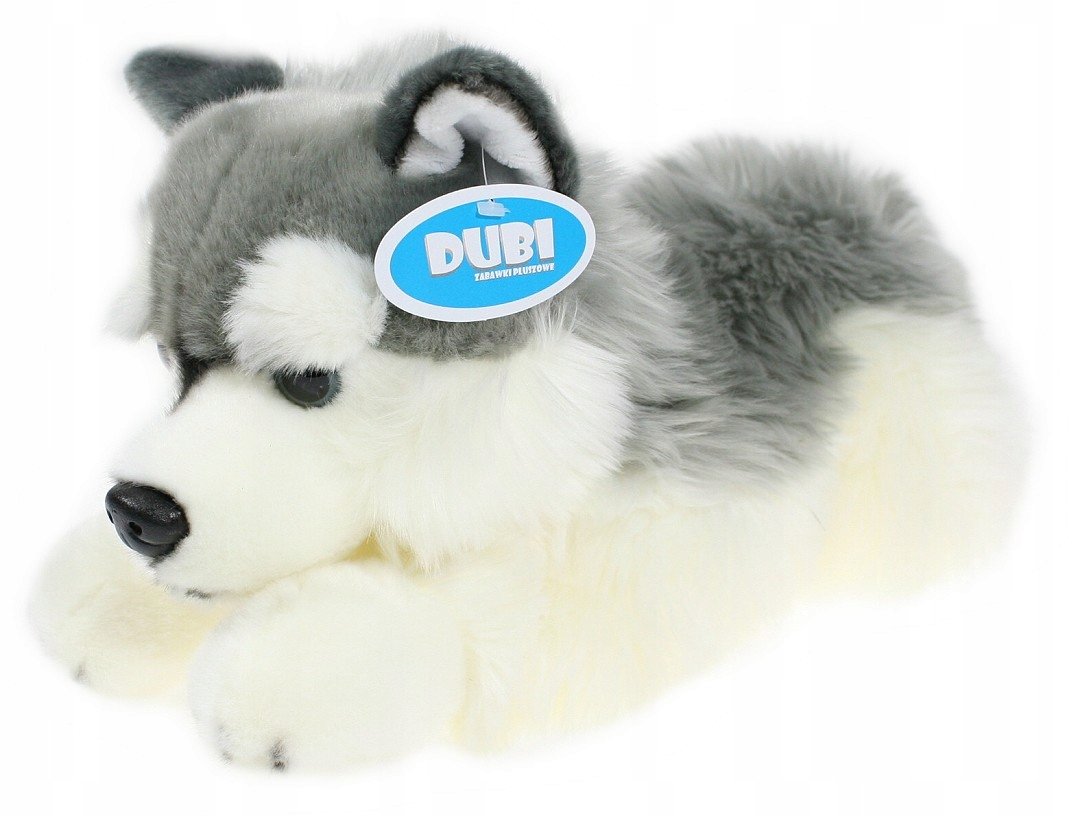 Maskotka Piesek Husky Leżący DUBI - 42cm