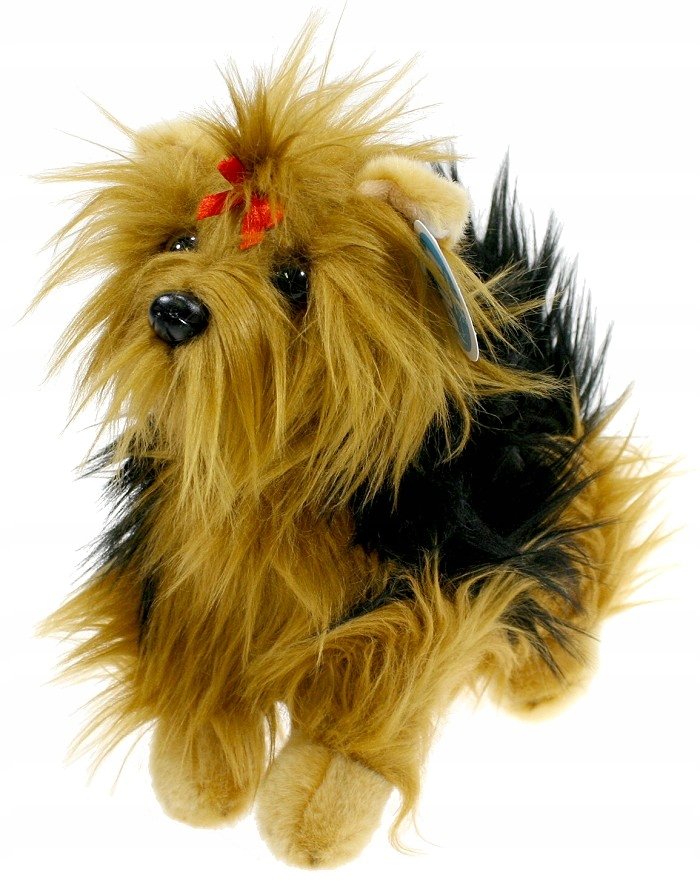 Maskotka Piesek Yorkshire Terrier DUBI - 30cm