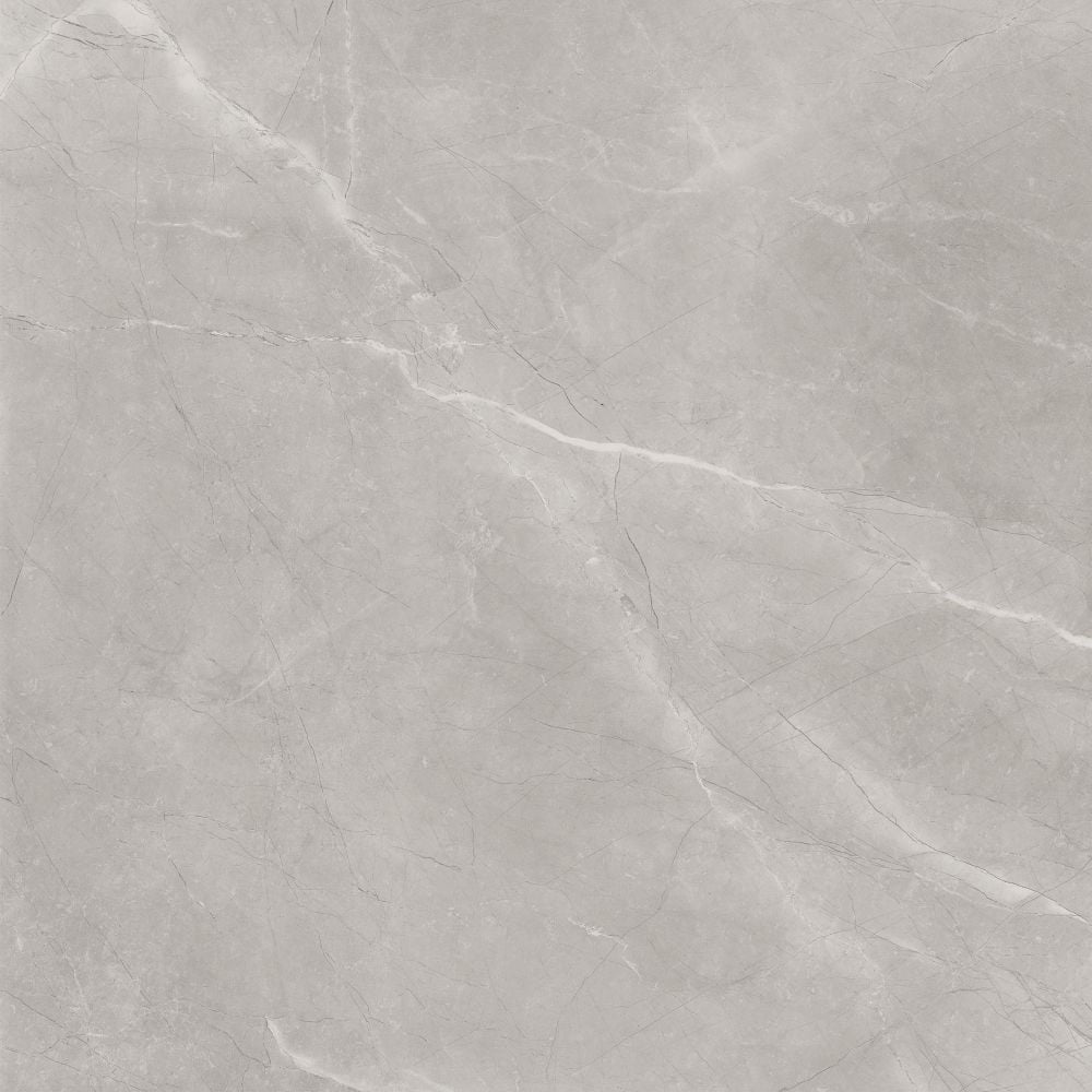 Baldocer Gres Bayona Silver Natural Mat 120X120 Rectified
