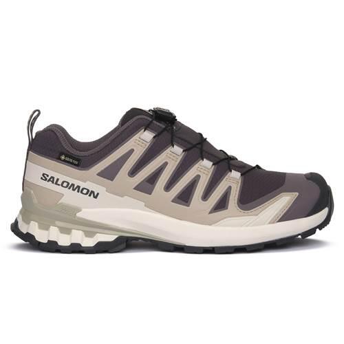 Damskie buty turystyczne Salomon Xa Pro 3D V9 Gore-Tex Rozmiar butów (UE): 38 2/3 / Kolor: beżowy