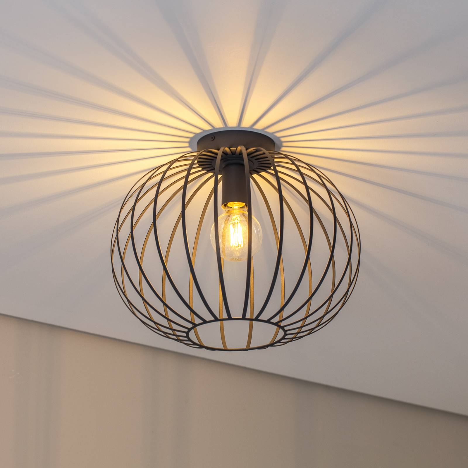 Lampa sufitowa Valor Argon, możliwość ściemniania, czarny, salon / jadalnia, metal, nowoczesny