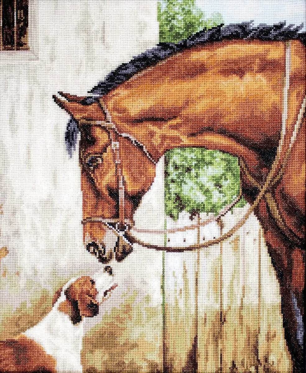Zestaw do haftu krzyżykowego klacz i pies B580 LUCA-S wyszywanka koń 28x35