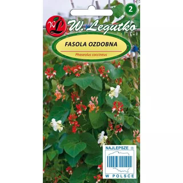 FASOLA OZDOBNA