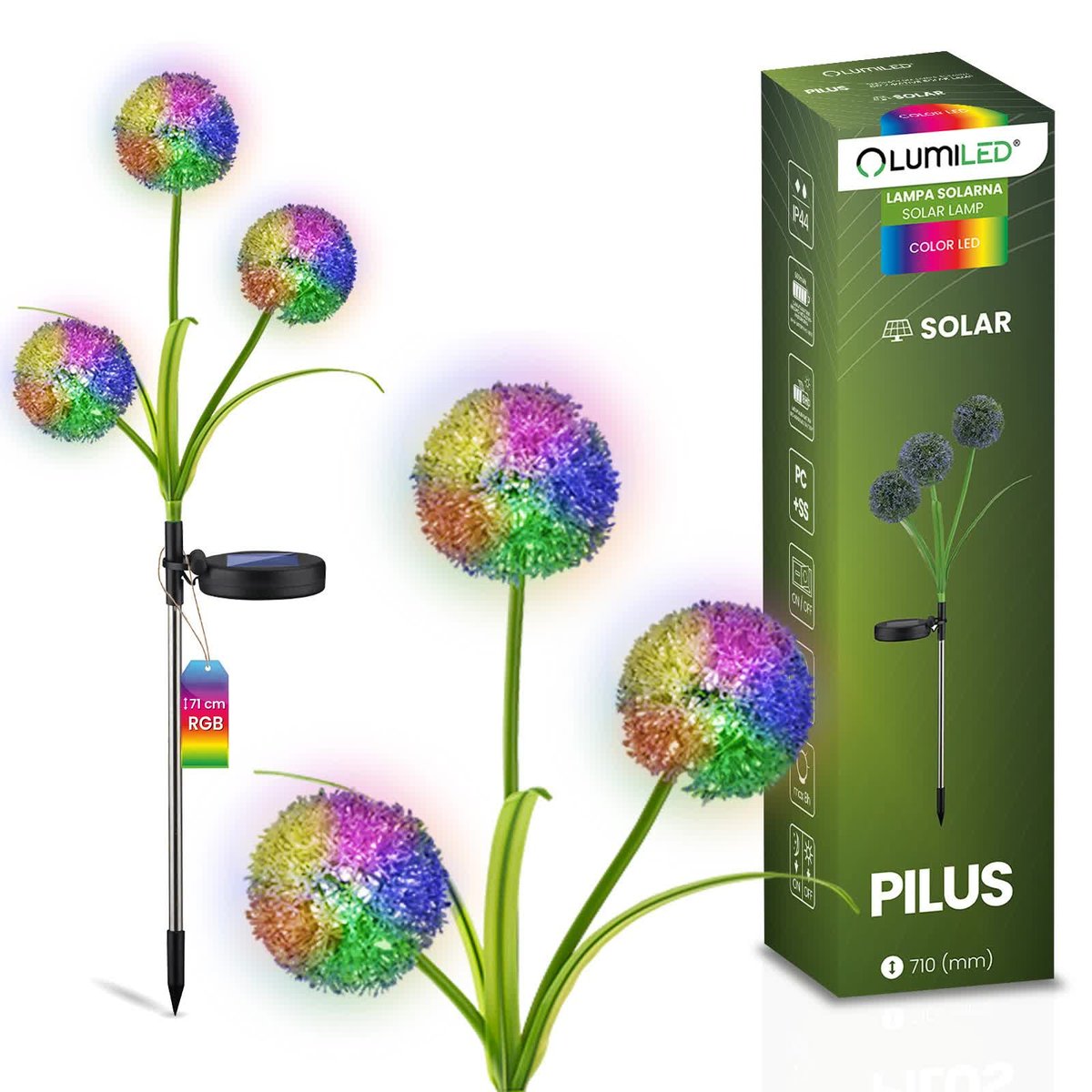 Lampa Solarna Ogrodowa LED PILUS RGB Wbijana Dekoracyjna Kwiat Czosnek
