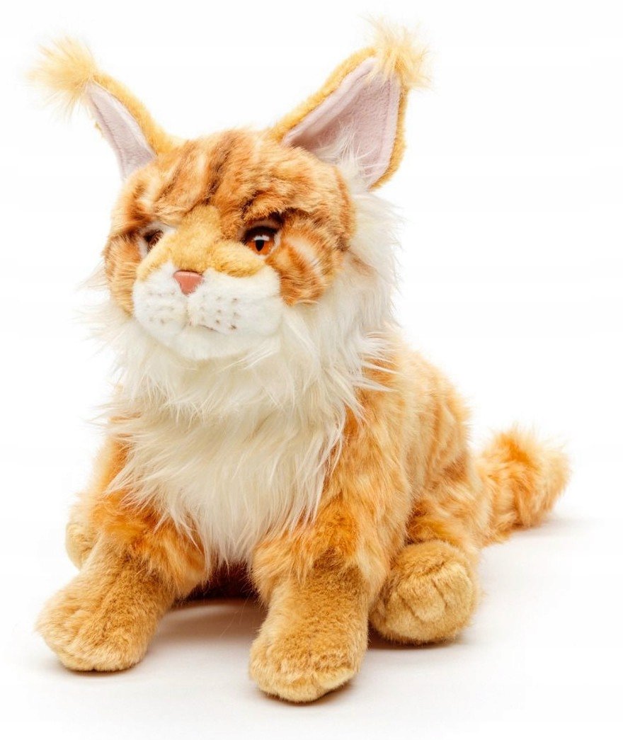 Maskotka Kotek Maine Coon rudy - 25cm