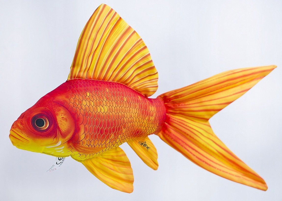 Maskotka Ryba Złota Rybka - 45cm