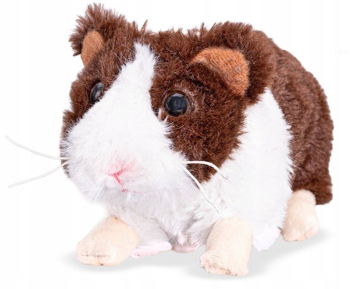 Maskotka Świnka Morska Biało-Brązowa - 18cm