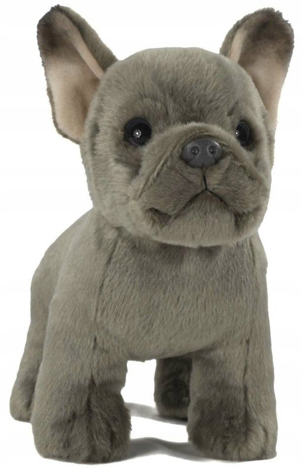 Maskotka Piesek Buldog Francuski Stojący - 23cm
