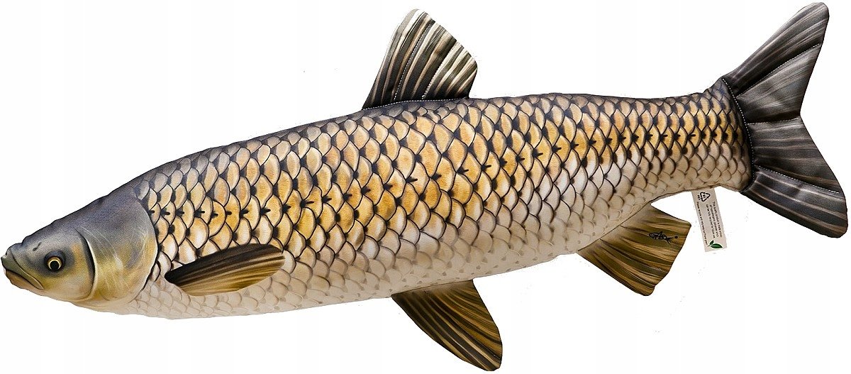 Maskotka Ryba Amur - 75cm