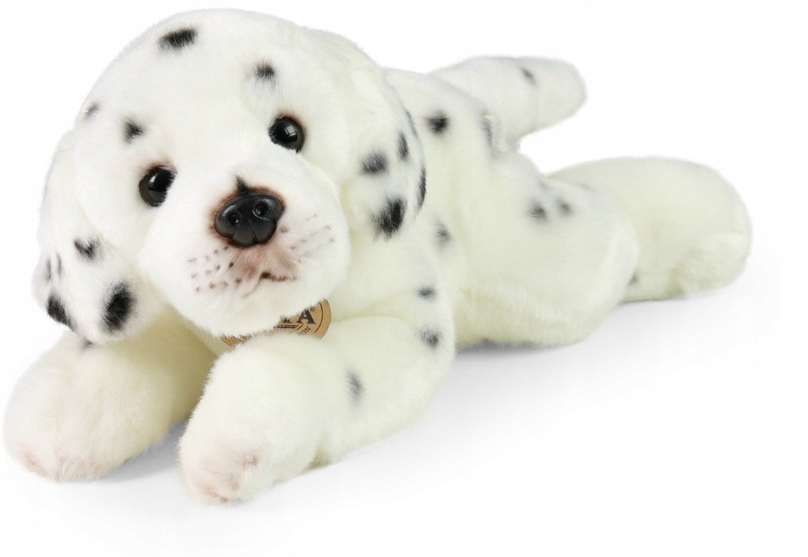 Maskotka Piesek Dalmatyńczyk Leżący - 30cm
