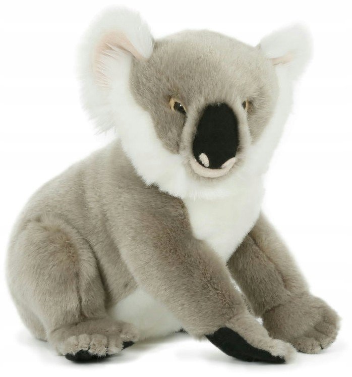 Maskotka Miś Koala - 25cm