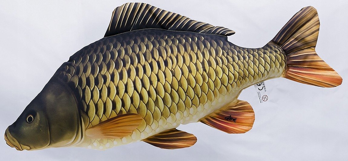 Maskotka Ryba Karp pełnołuski Gigant - 90cm