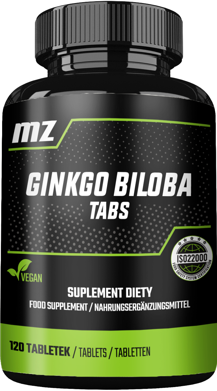 MZ-STORE GINKGO BILOBA EKSTRAKT Z MIŁORZĘBU 120 TABLETEK