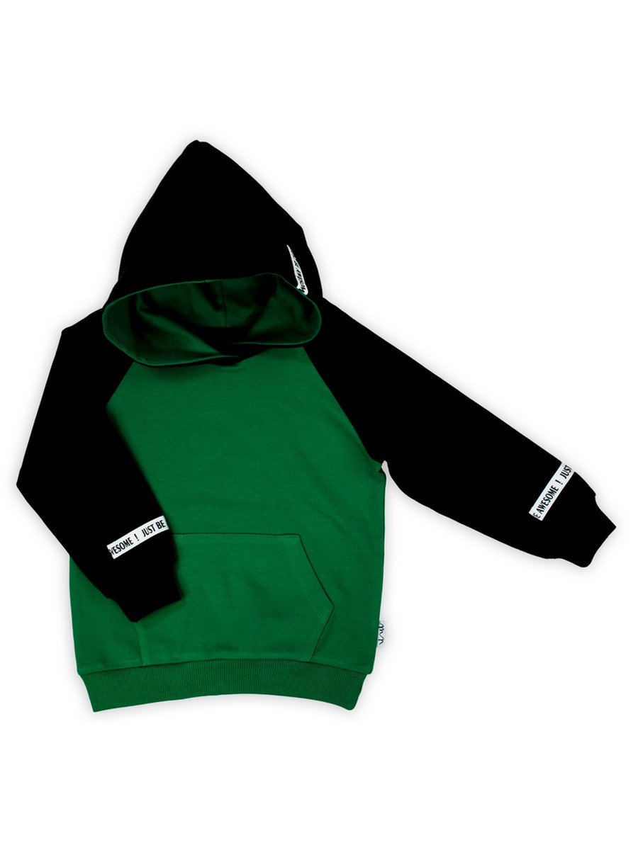 Chłopięca bluza dresowa z kapturem zielona Nicol,r.98