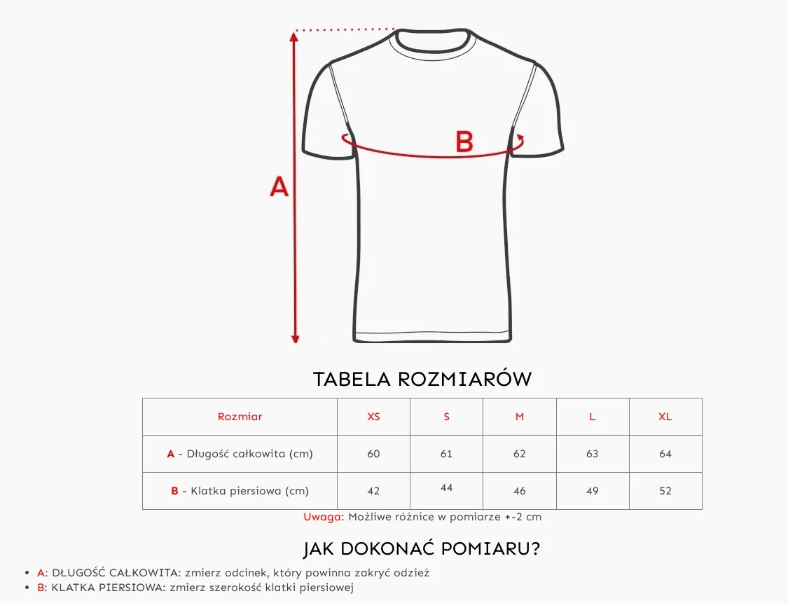 Koszulka damska PITBULL Middle Weight 190 Denim Washed Angel Logo '25 - Zielona  (34)