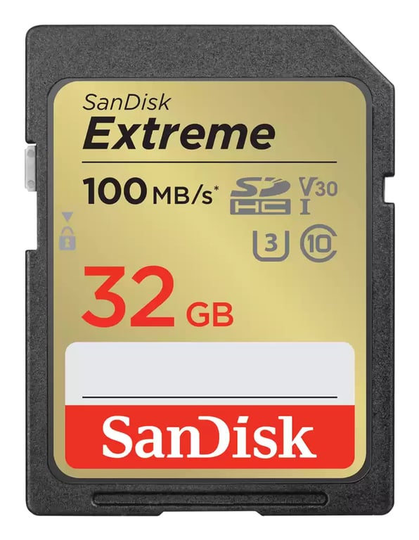 SanDisk SDSDXVT-032G-GNCI2 pamięć flash 32 GB SDHC Klasa 10