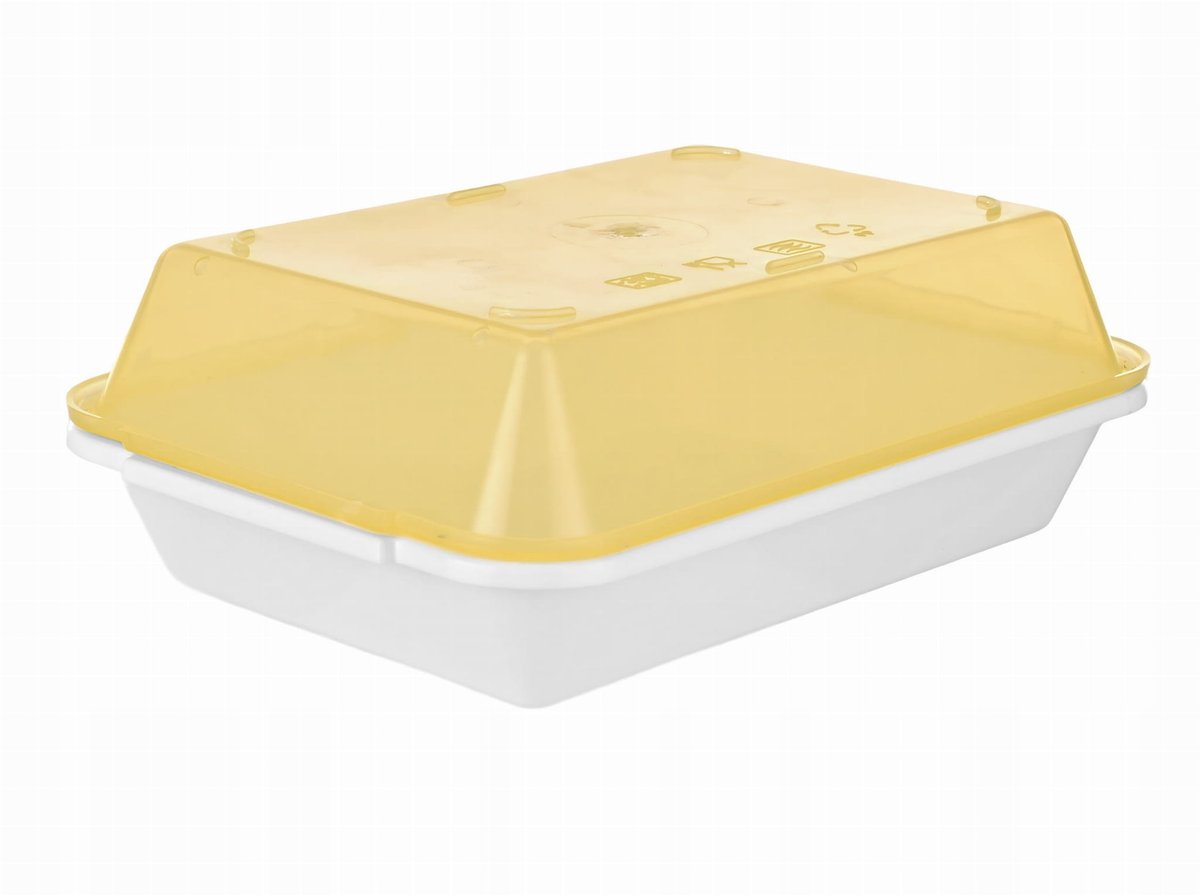 POJEMNIK KUCHENNY PROSTOKĄTNY Z PRZYKRYWKĄ NA ŻYWNOŚĆ CIASTO 21X15