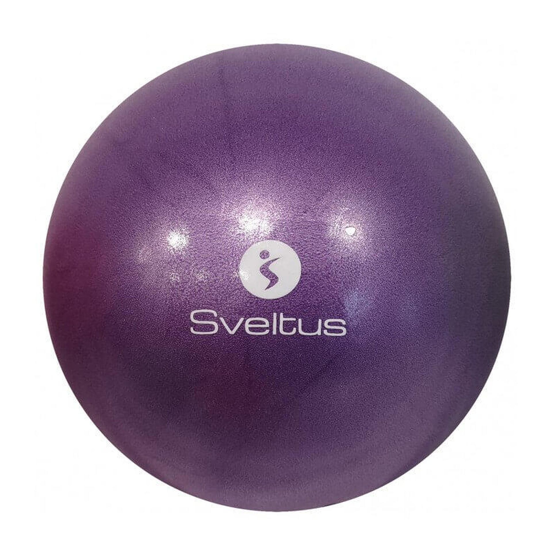 sveltus sveltus Balon pédagogique piłka edukacyjna, fioletowa, 25 cm 0423-1