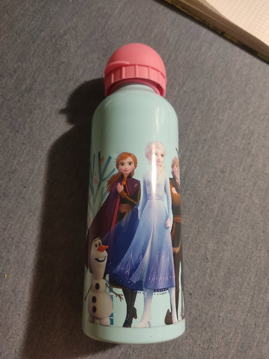 Bidon 500 ml królowa lodu