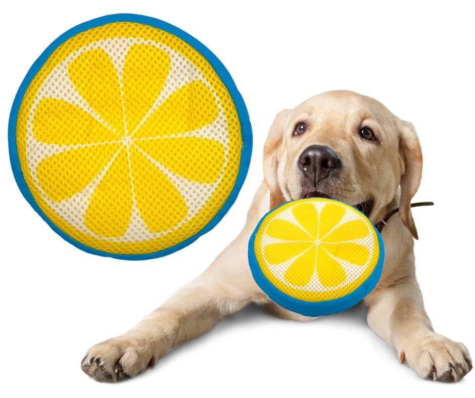 Zabawka pluszowa dla psa Activ Pet