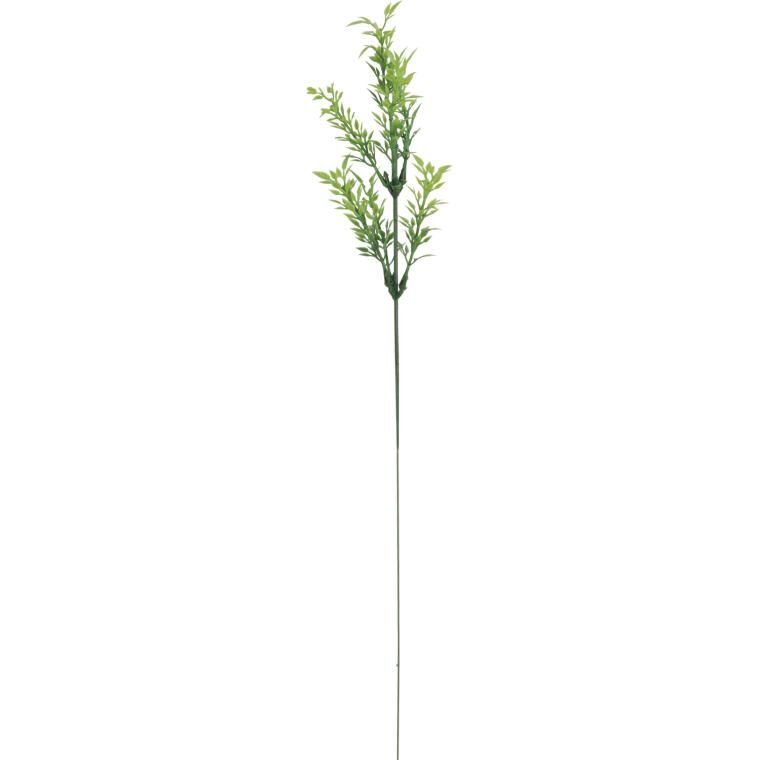 Tymianek Gałązka Zieolna 57 Cm
