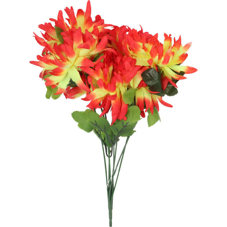 Bukiet 7 chryzantem strzępiastych 50 cm kolor poma