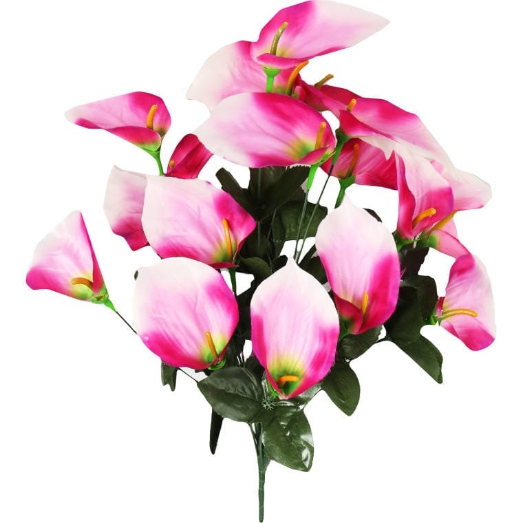 Bukiet 12 anturium w kolorze różowym