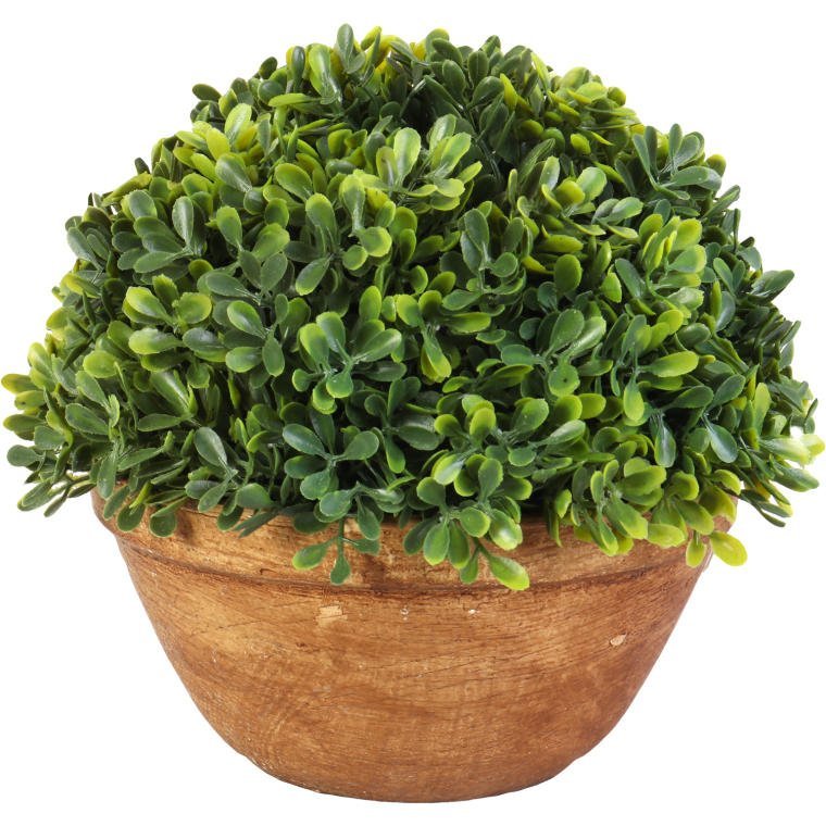 Sztuczny Bukszpan w Ceramicznej Doniczce 20cm - Zi