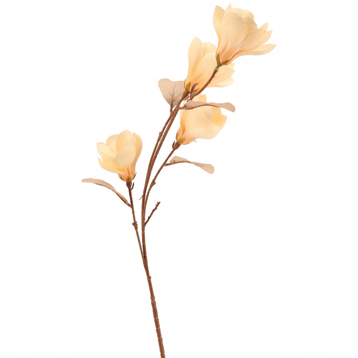 Roślina sztuczna Gałązka Magnolii wysokość 82 cm kremowa JAK ŻYWA ozdoba