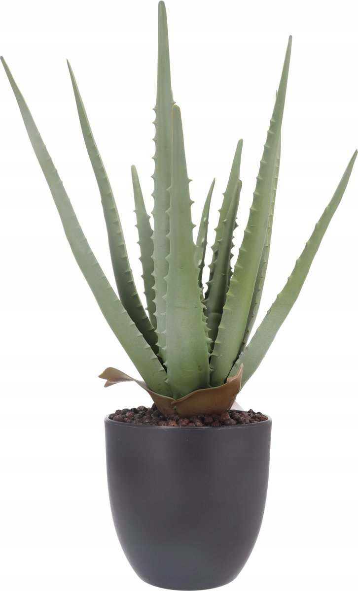 Roślina sztuczna Aloes w doniczce 45 cm wysokości zielona JAK ŻYWA ozdoba