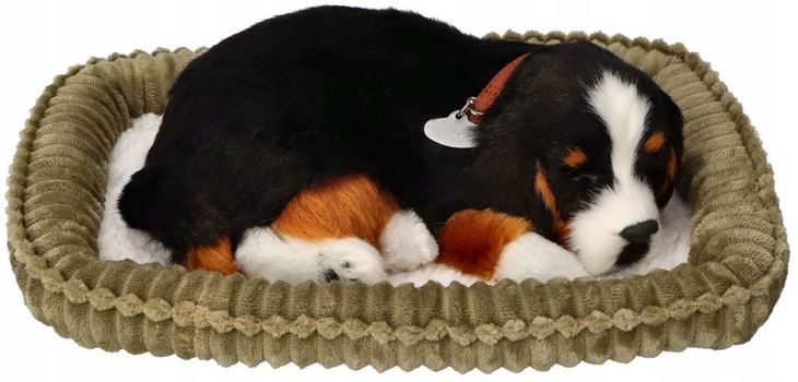 Perfect Petzzz Oddychający Berneńczyk do