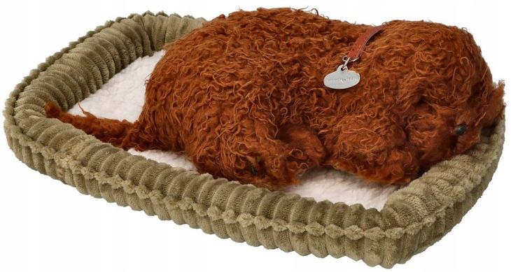 Perfect Petzzz Śpiący szczeniaczek Pudelek