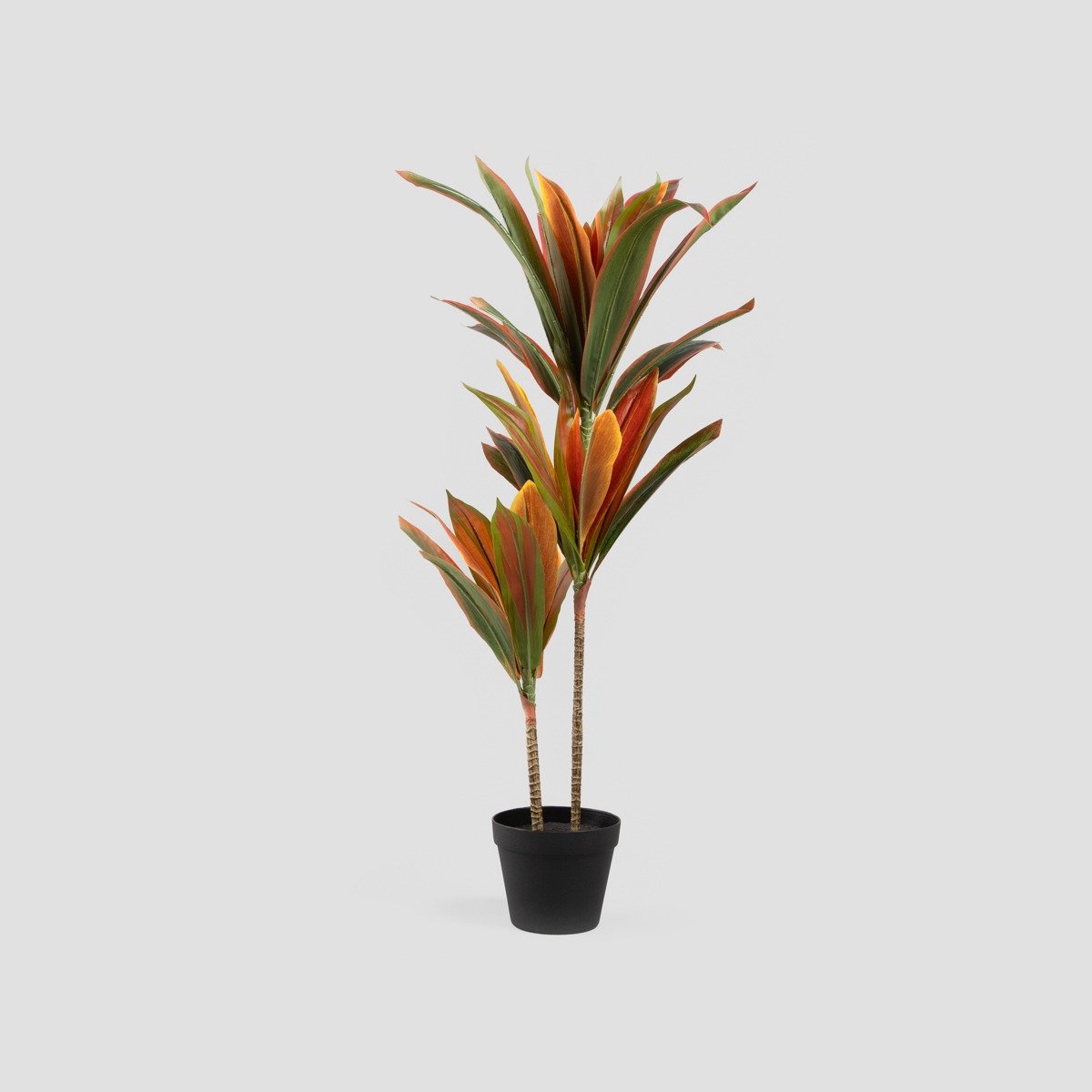 HOMLA Roślina sztuczna TROPICAL ZONE dracena 90 cm
