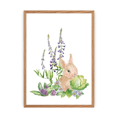 Obrazek Forest Story Hare