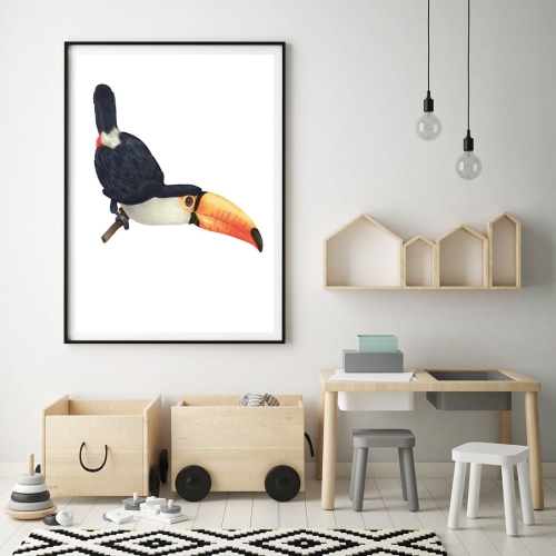 Plakat dla dzieci safari tukan