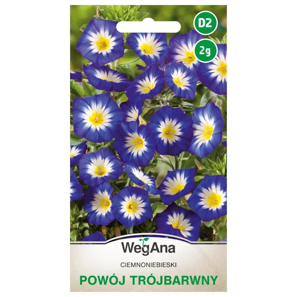 Powój trójbarwny ciemnoniebieski nasiona 2g - WegAna