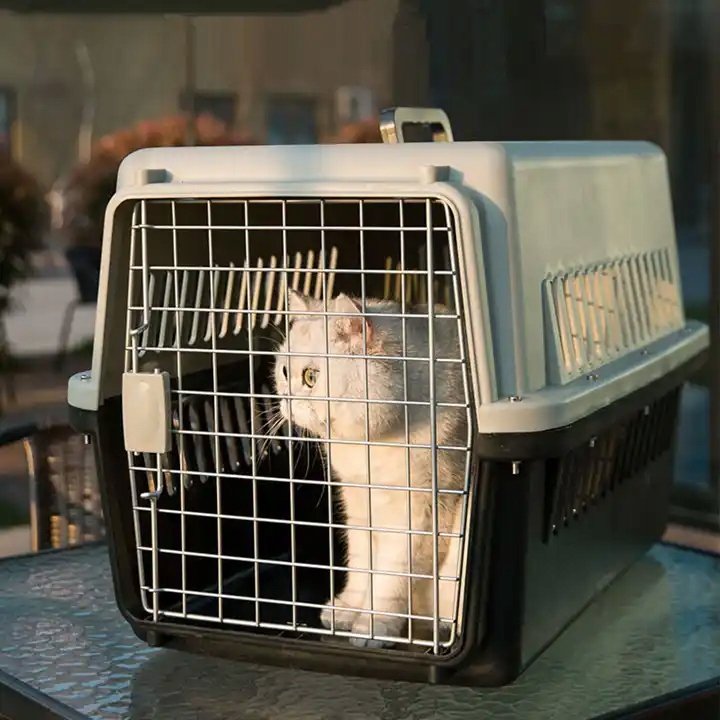 Duży Transporter Dla Kota Psa Królika Zwierząt Plastikowy Klatka Kojec Box