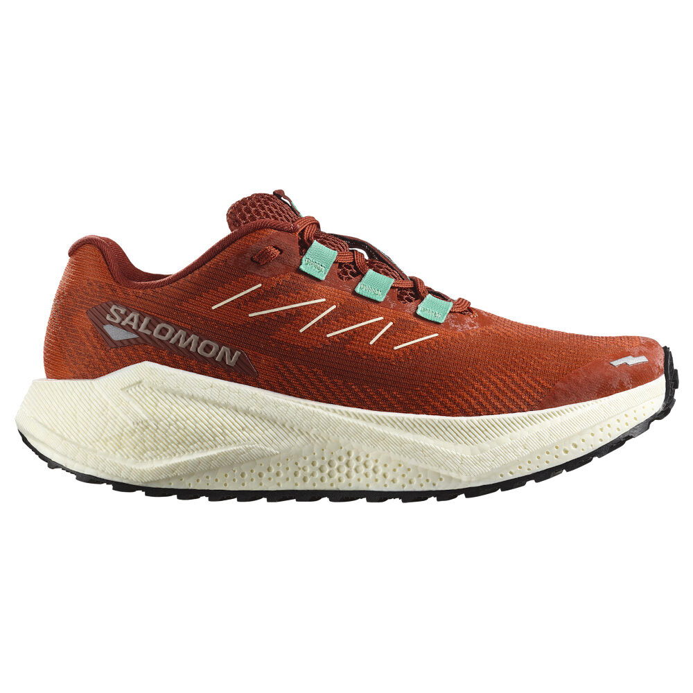 Damskie buty do biegania Salomon Aero Blaze 3 GRVL Burnt Ochre/Vanilla Ice/Vanilla Ice UK 7,5