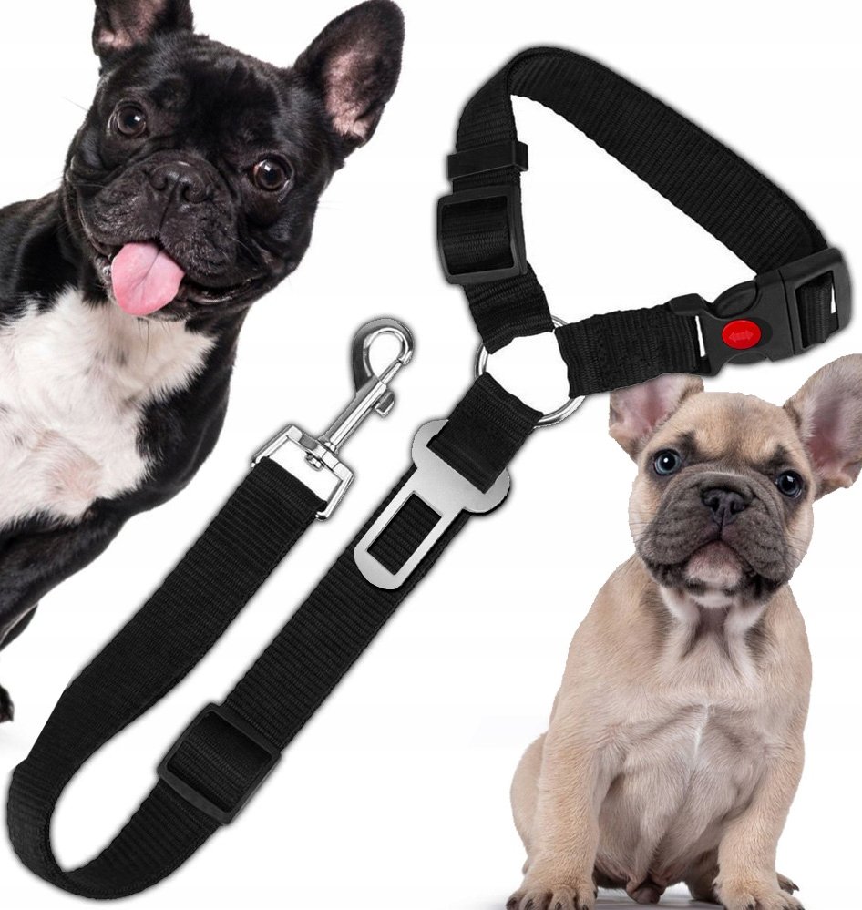 SMYCZ DLA PSA KOTA PAS BEZPIECZEŃSTWA DO AUTA SAMOCHODU NA ZAGŁÓWEK +WPINKA